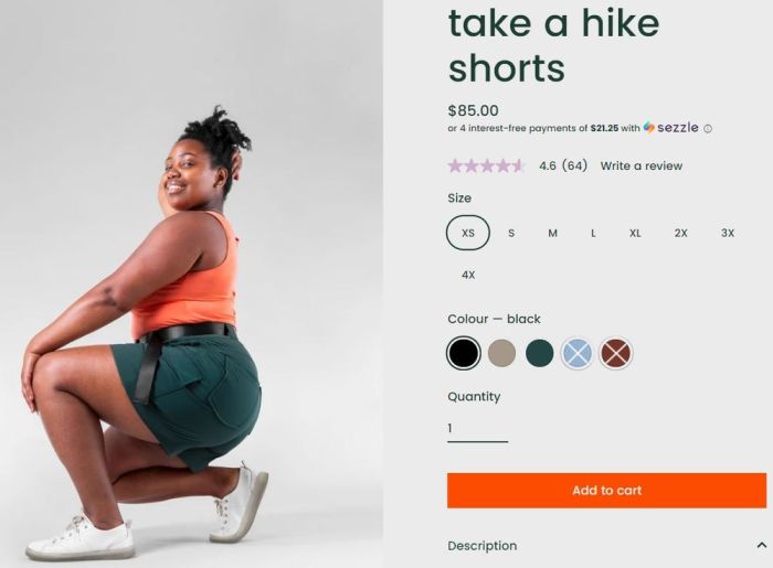 BNPL (Buy Now Pay Later) trends