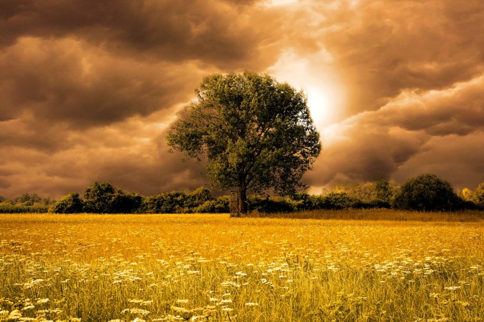 Landscape Free Stock Photo - Public Domain Pictures